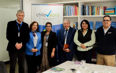 DICREP y ChileValora avanzan en la implementación del perfil de Perito/a Tasador/a