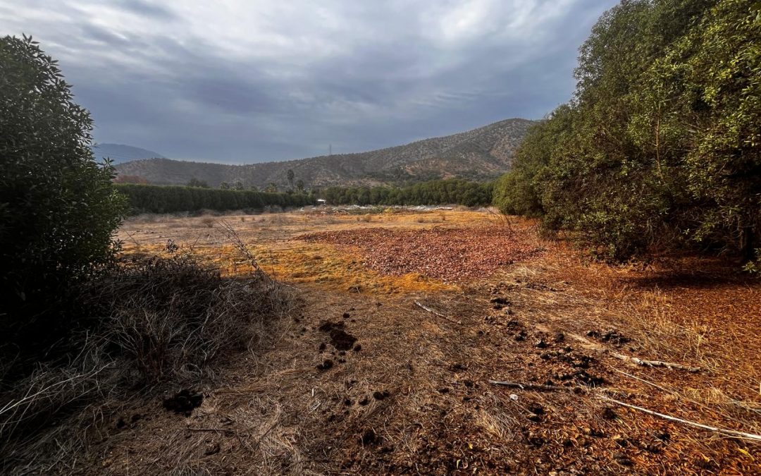 Se remata terreno en Curacaví