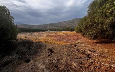 Se remata terreno en Curacaví